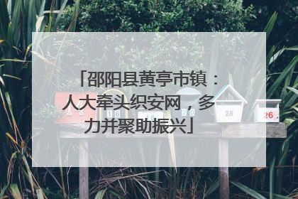 邵阳县黄亭市镇：人大牵头织安网，多力并聚助振兴