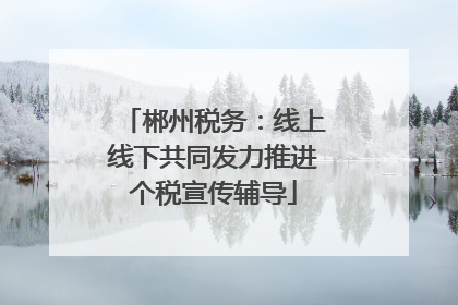郴州税务：线上线下共同发力推进个税宣传辅导