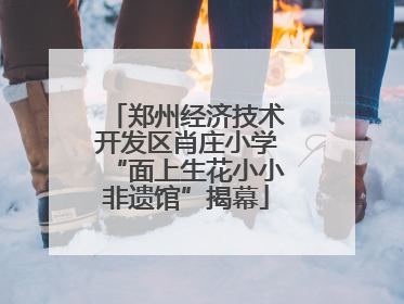 郑州经济技术开发区肖庄小学“面上生花小小非遗馆”揭幕
