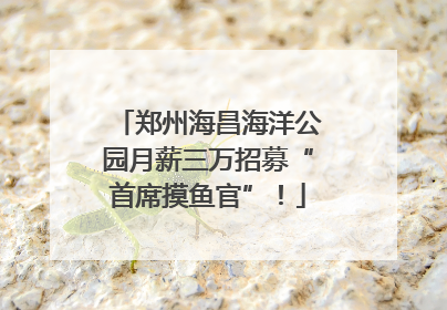 郑州海昌海洋公园月薪三万招募“首席摸鱼官”！