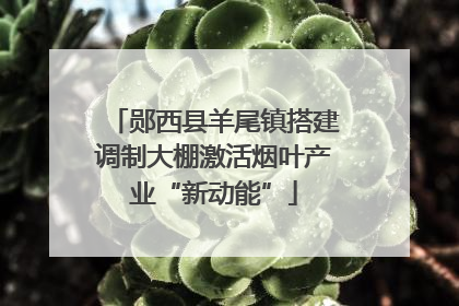 郧西县羊尾镇搭建调制大棚激活烟叶产业“新动能”
