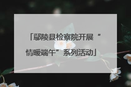 鄢陵县检察院开展“情暖端午”系列活动