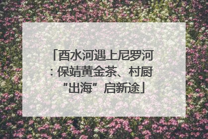 酉水河遇上尼罗河：保靖黄金茶、村厨“出海”启新途