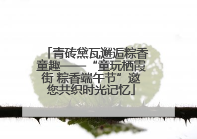 青砖黛瓦邂逅粽香童趣——“童玩栖霞街 粽香端午节”邀您共织时光记忆