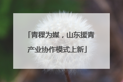 青稞为媒，山东援青产业协作模式上新
