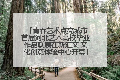 青春艺术点亮城市 首届河北艺术高校毕业作品联展在新汇文·文化创意体验中心开幕