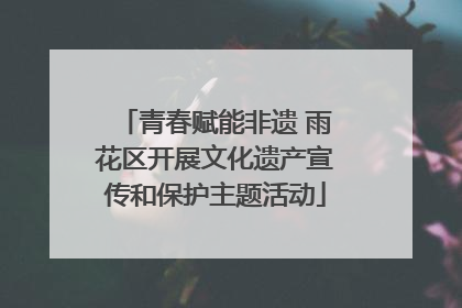 青春赋能非遗 雨花区开展文化遗产宣传和保护主题活动