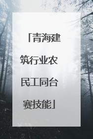 青海建筑行业农民工同台赛技能