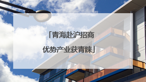 青海赴沪招商 优势产业获青睐