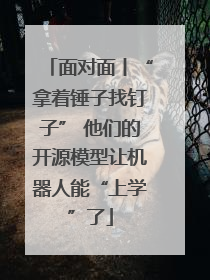 面对面丨“拿着锤子找钉子” 他们的开源模型让机器人能“上学”了