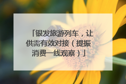 银发旅游列车，让供需有效对接（提振消费一线观察）