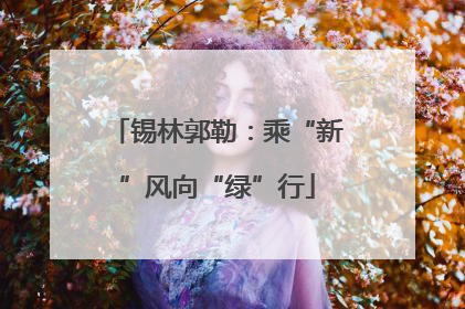 锡林郭勒：乘“新”风向“绿”行