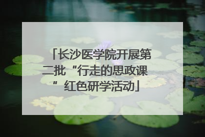 长沙医学院开展第二批“行走的思政课”红色研学活动