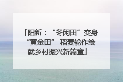 阳新：“冬闲田”变身“黄金田” 稻麦轮作绘就乡村振兴新篇章