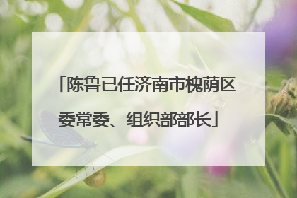 陈鲁已任济南市槐荫区委常委、组织部部长