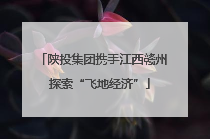 陕投集团携手江西赣州 探索“飞地经济”