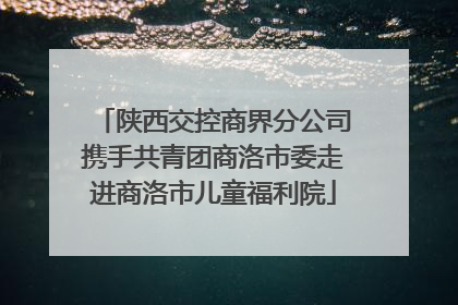 陕西交控商界分公司携手共青团商洛市委走进商洛市儿童福利院
