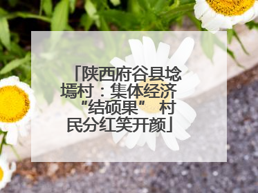 陕西府谷县埝墕村：集体经济“结硕果” 村民分红笑开颜