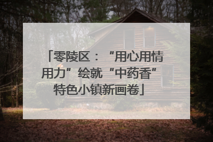 零陵区：“用心用情用力”绘就“中药香”特色小镇新画卷