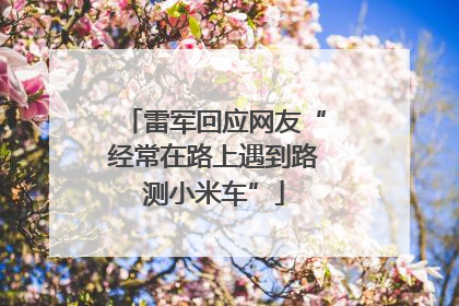 雷军回应网友“经常在路上遇到路测小米车”