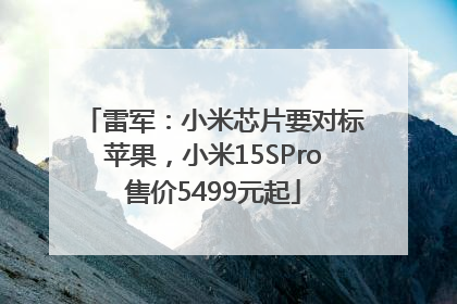 雷军：小米芯片要对标苹果，小米15SPro售价5499元起