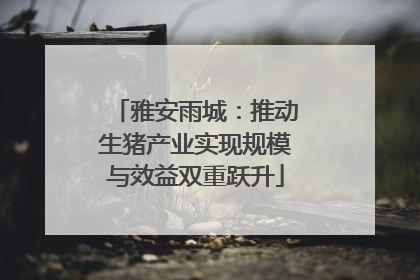 雅安雨城：推动生猪产业实现规模与效益双重跃升