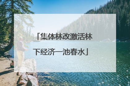 集体林改激活林下经济一池春水