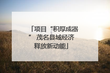 项目“积厚成器” 茂名县域经济释放新动能