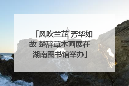 风吹兰芷 芳华如故 楚辞草木画展在湖南图书馆举办