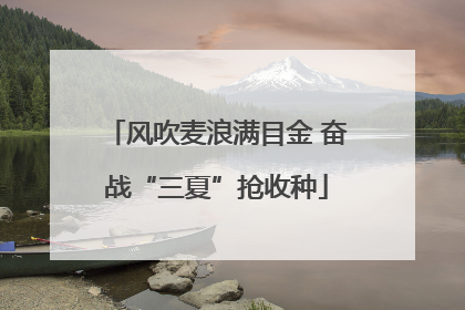 风吹麦浪满目金 奋战“三夏”抢收种