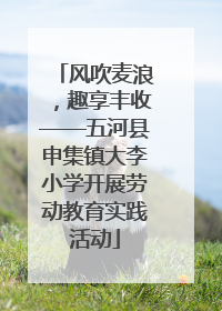风吹麦浪，趣享丰收——五河县申集镇大李小学开展劳动教育实践活动