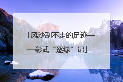 风沙刮不走的足迹——彰武“逐绿”记