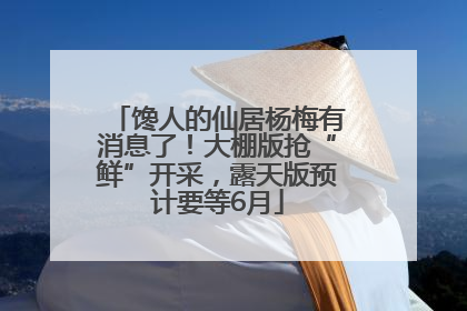馋人的仙居杨梅有消息了！大棚版抢“鲜”开采，露天版预计要等6月