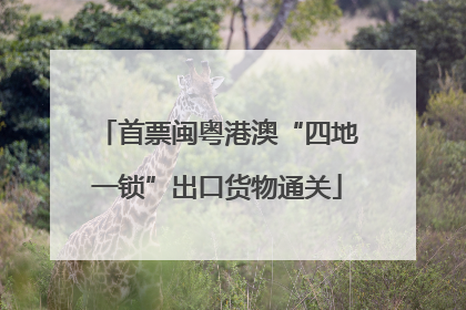 首票闽粤港澳“四地一锁”出口货物通关