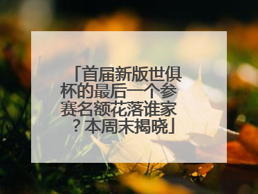 首届新版世俱杯的最后一个参赛名额花落谁家？本周末揭晓