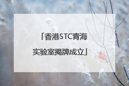 香港STC青海实验室揭牌成立