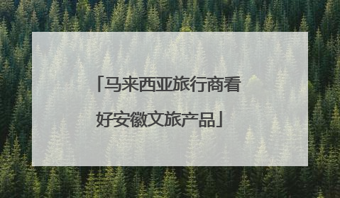 马来西亚旅行商看好安徽文旅产品