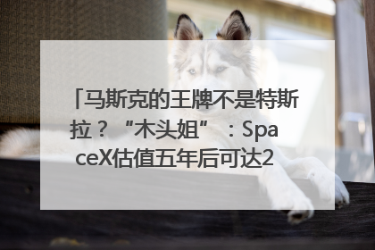 马斯克的王牌不是特斯拉？“木头姐”：SpaceX估值五年后可达2.5万亿美元！