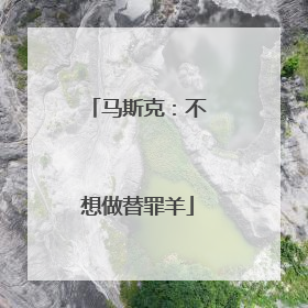 马斯克：不想做替罪羊