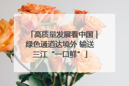 高质量发展看中国｜绿色通道达境外 输送三江“一口鲜”