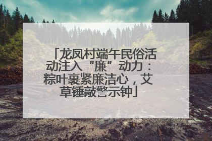 龙凤村端午民俗活动注入“廉”动力：粽叶裹紧廉洁心，艾草锤敲警示钟