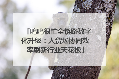 鸣鸣很忙全链路数字化升级：人货场协同效率刷新行业天花板