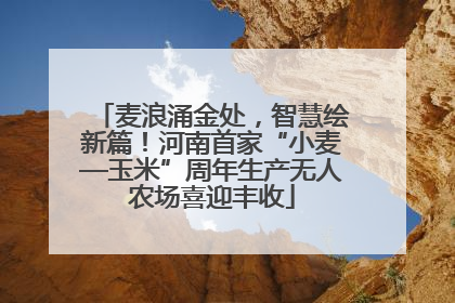 麦浪涌金处，智慧绘新篇！河南首家“小麦—玉米”周年生产无人农场喜迎丰收