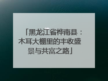 黑龙江省桦南县：木耳大棚里的丰收盛景与共富之路
