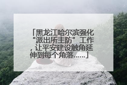 黑龙江哈尔滨强化“派出所主防”工作，让平安建设触角延伸到每个角落……