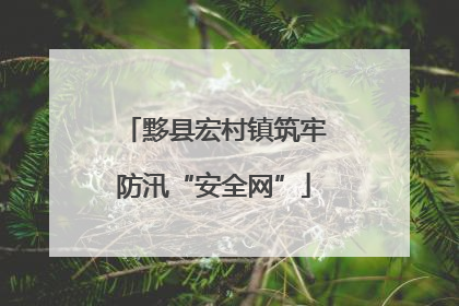 黟县宏村镇筑牢防汛“安全网”