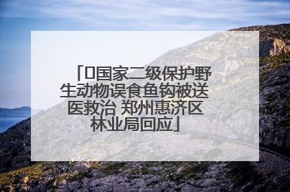 ﻿国家二级保护野生动物误食鱼钩被送医救治 郑州惠济区林业局回应