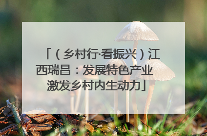 （乡村行·看振兴）江西瑞昌：发展特色产业 激发乡村内生动力