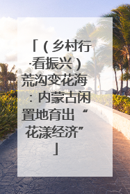 （乡村行·看振兴）荒沟变花海：内蒙古闲置地育出“花漾经济”