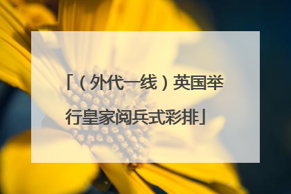 （外代一线）英国举行皇家阅兵式彩排